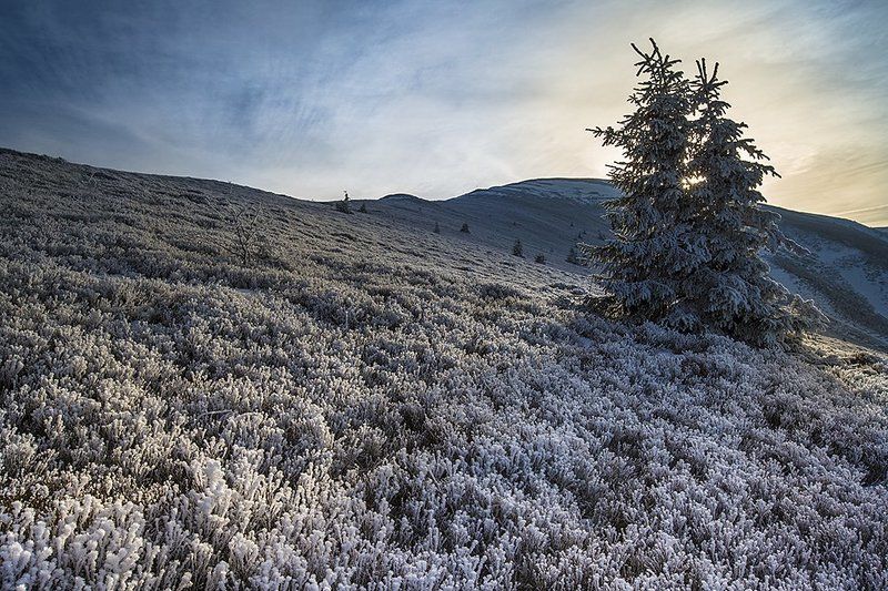 Инейphoto preview