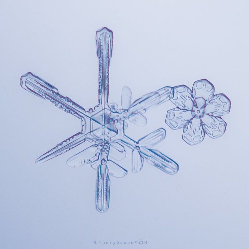 Снежинкиphoto preview