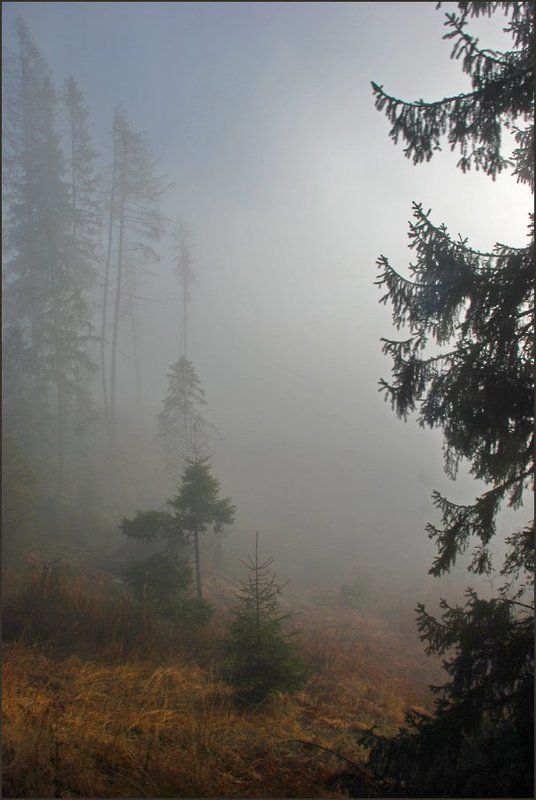 Туманная серия 2(6)photo preview