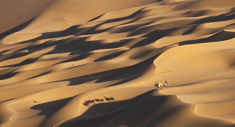 THE LONG AND  WINDING ROADphoto preview