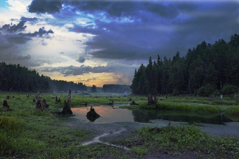 Место, где комаров больше, чем звёзд на небе.photo preview