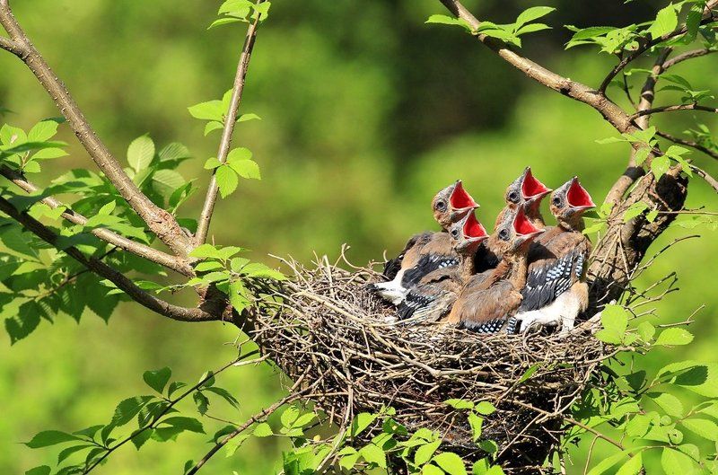 Jay\'s familyphoto preview