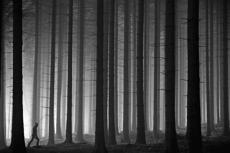 daily difficultiesphoto preview