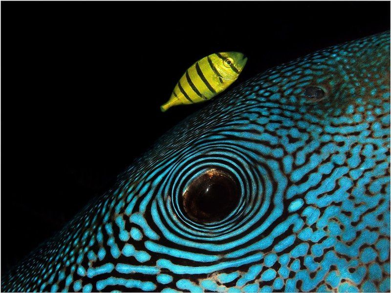 Размерыphoto preview