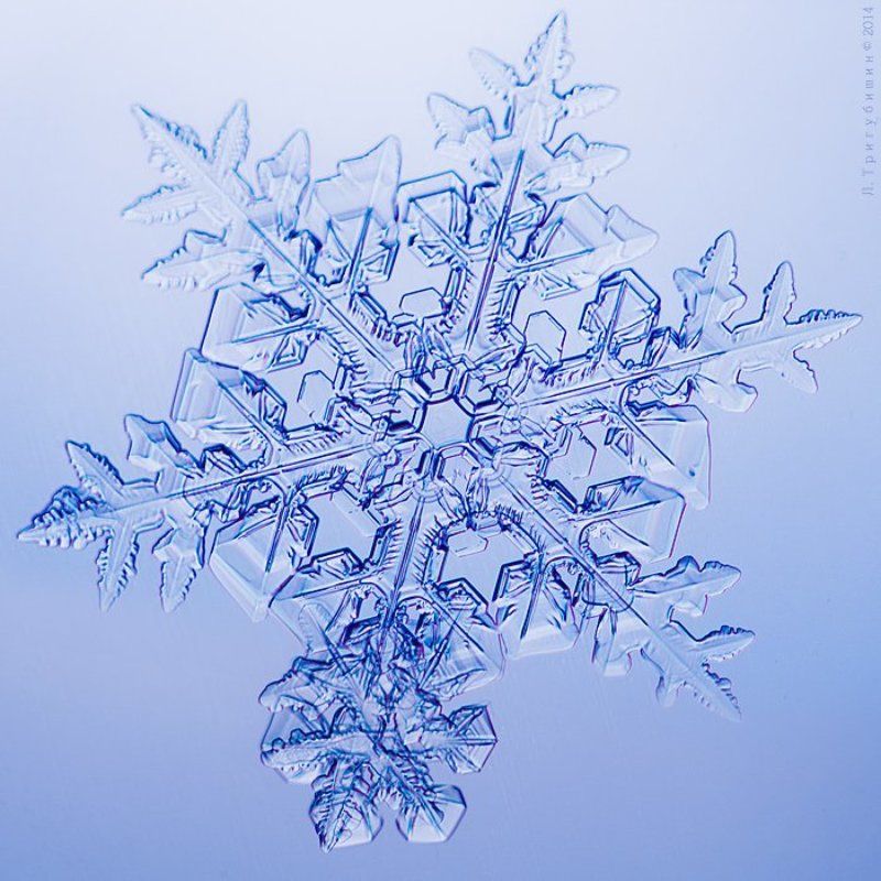 Снежинкиphoto preview