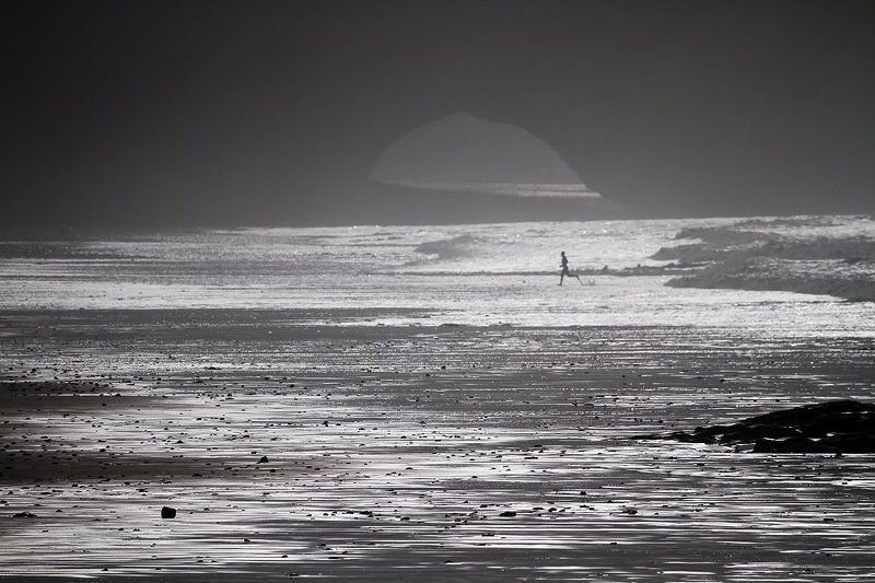 Rabbit, Runphoto preview