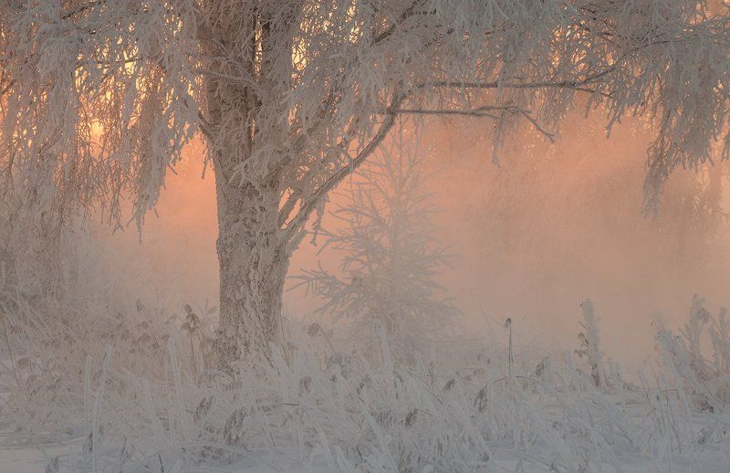 Про нежность зимнего утраphoto preview