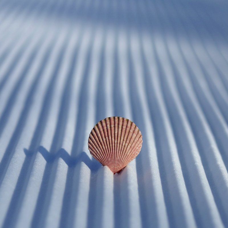 Своя колея.photo preview