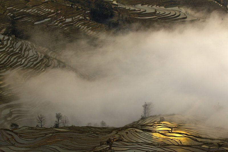 MAGIC LANDphoto preview