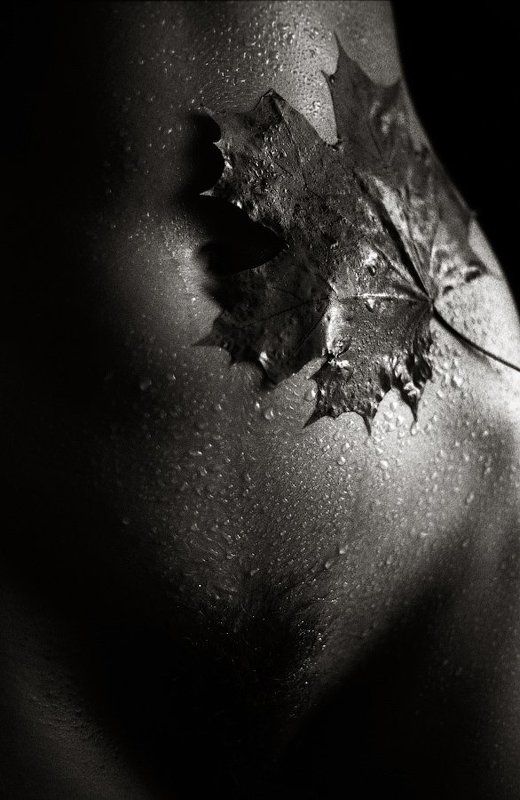 Девушка, Дождь, Живот, Клен, Кленовый лист, Ню, Осень Осенний этюдphoto preview