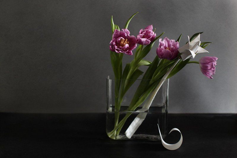 Из другого тестаphoto preview