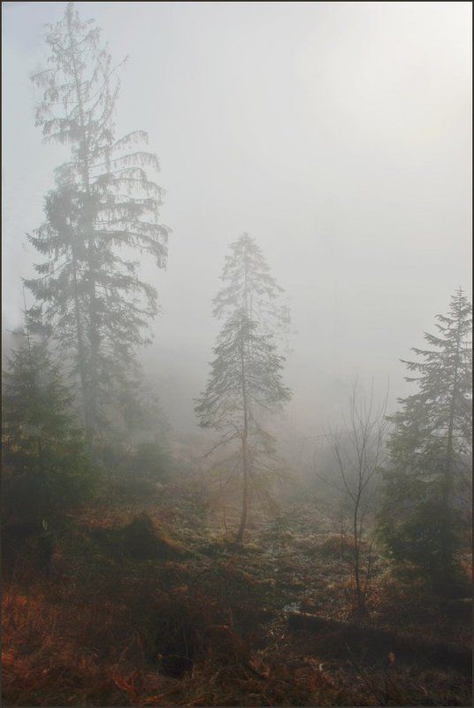 Туманная серия 2(7)photo preview