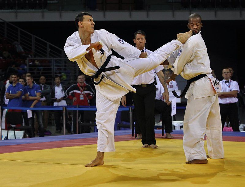 кекусинкай,чемпионат мира,стародуюцев дмитрий,савельев дмитрий,2013 Победный ударphoto preview