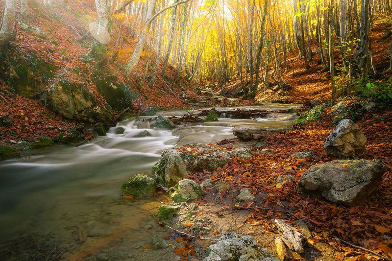 Крым, Осень, Речка photo preview