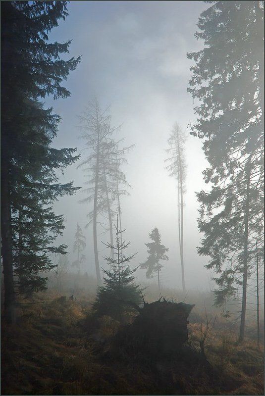 Туманная серия 2(8)photo preview