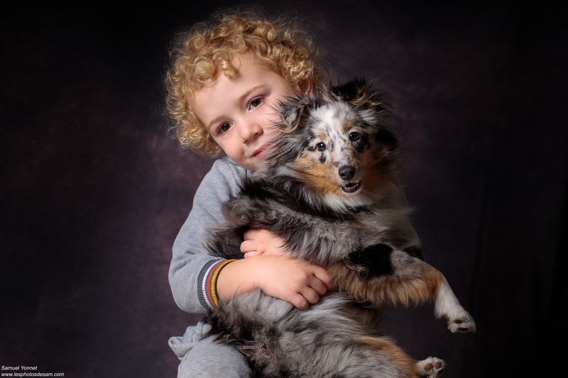 Shetland sheepdog in love with my sonphoto preview