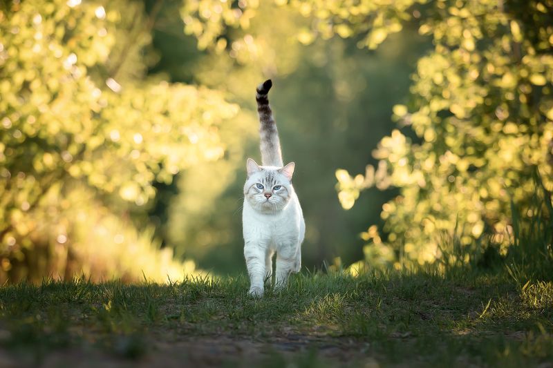 Важный парень )photo preview