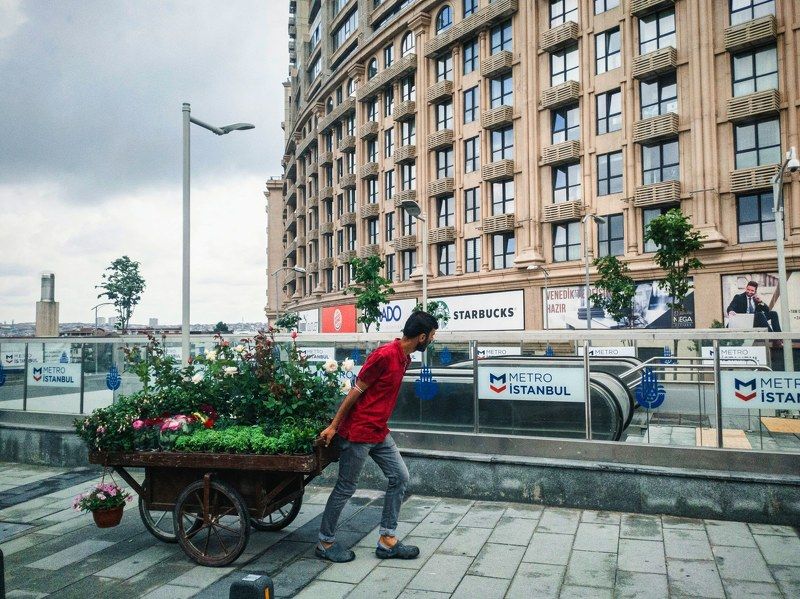 Floristphoto preview