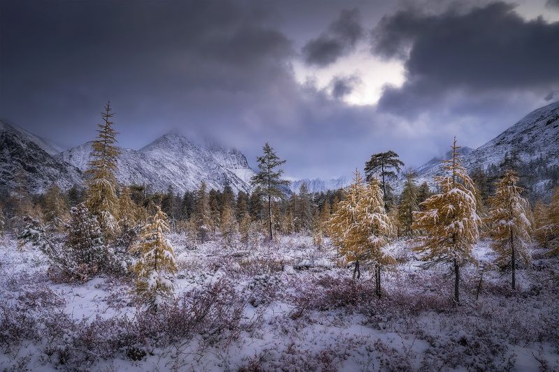 5 сентября фото превью