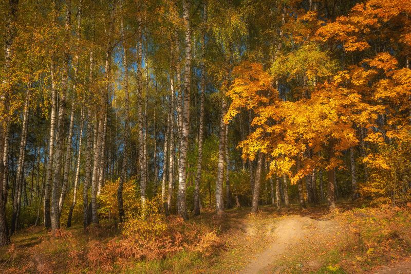 Осеньphoto preview