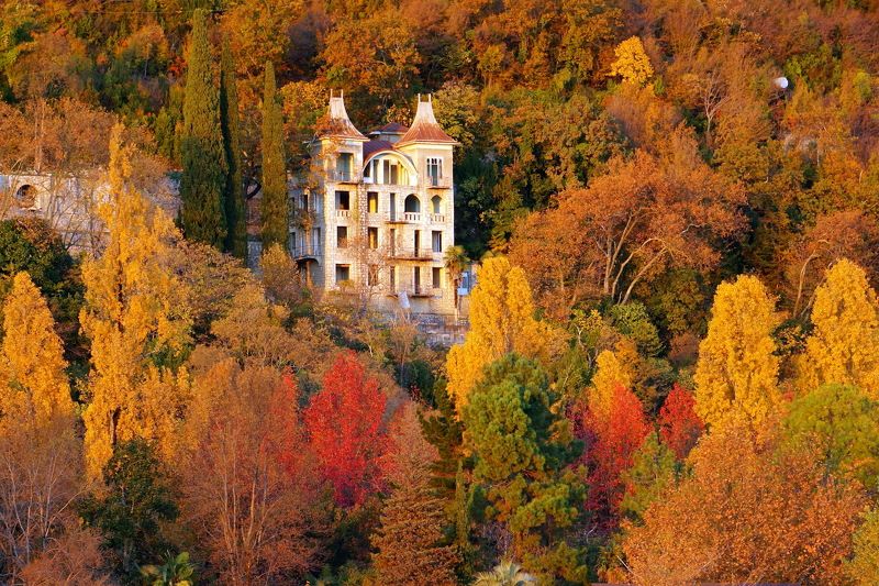 осень Гагры. Осенним днём в Гаграхphoto preview