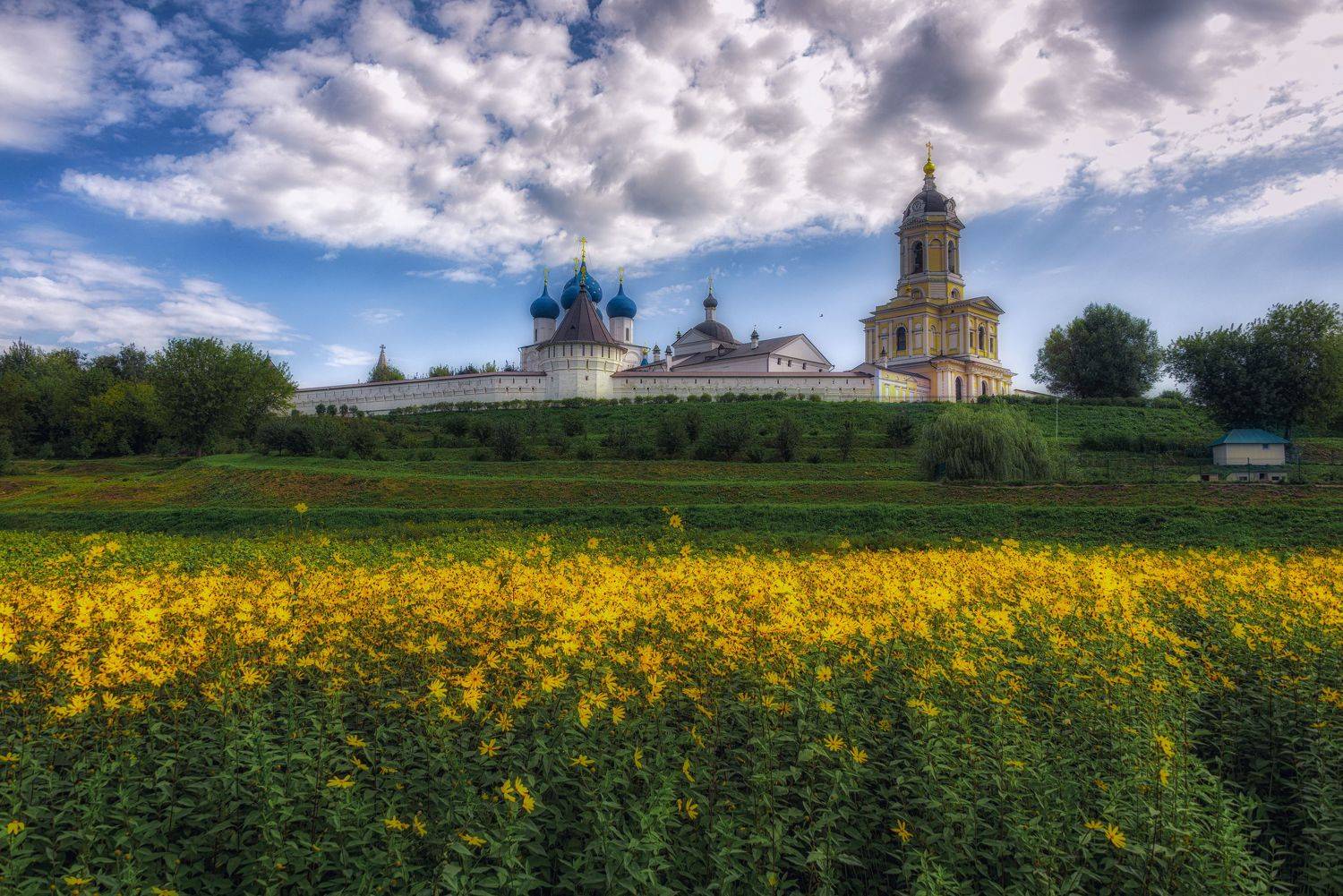 , Владимир Брагилевский