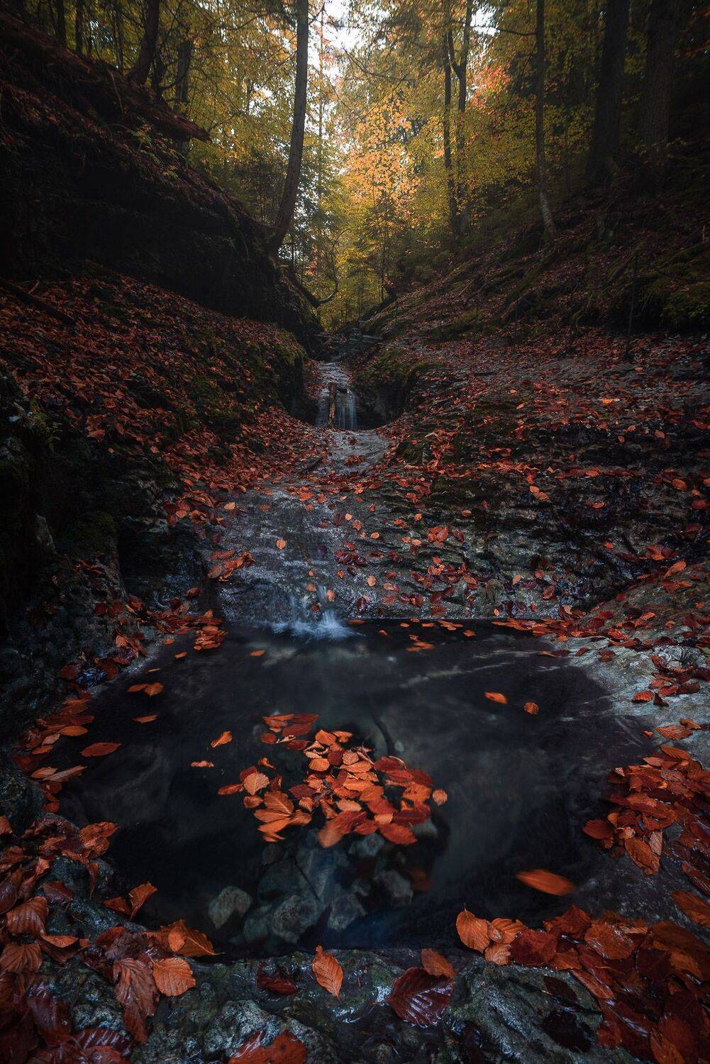 Slovakia paradise II. Автор: Erik Baran , Erik Baran