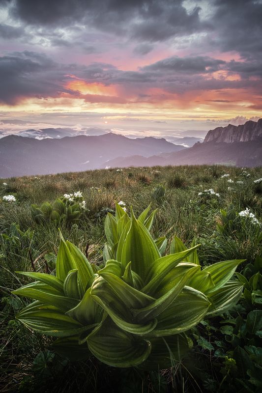 закат, большой тхач, кавказ, адыгея, весна, рододендрон Многоликий Большой Тхачphoto preview