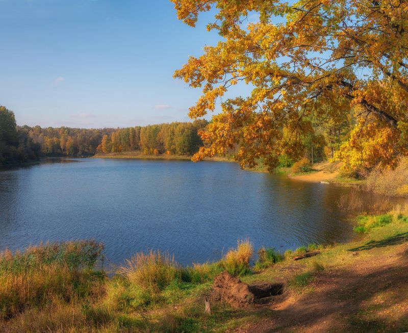 Осень. Речка Синичка.photo preview