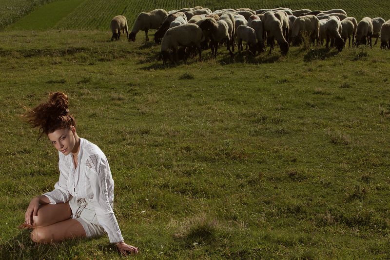 Shepherdessphoto preview