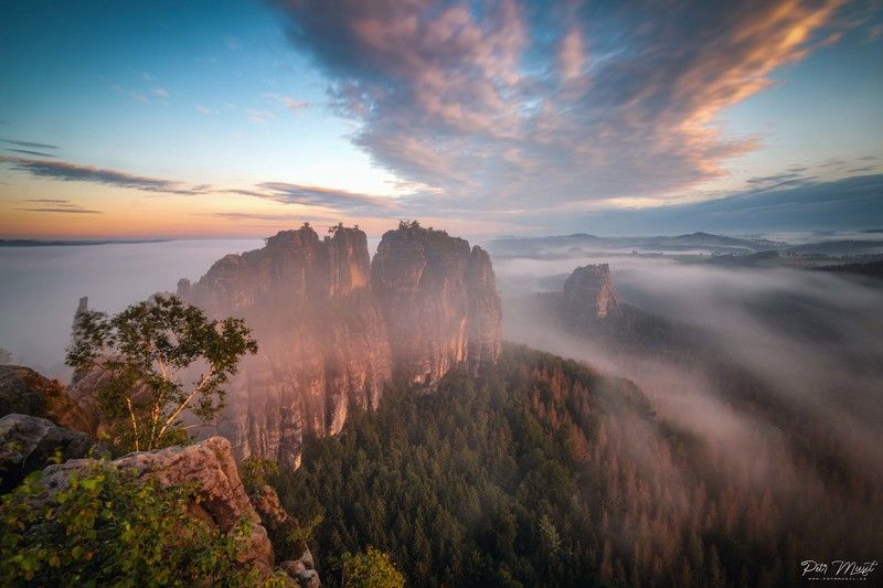 germany, fog, fogs, morning, sunrise, trees, rock, cloud, *****photo preview