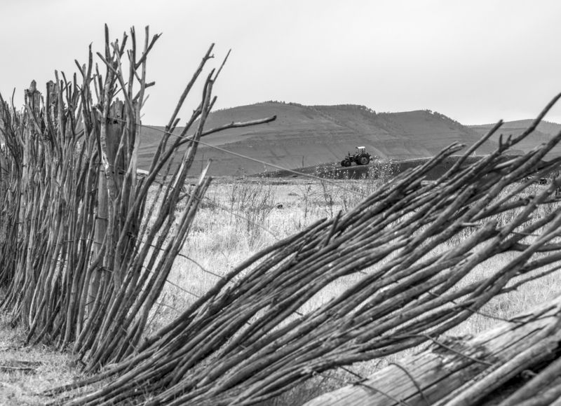 трактор, хакасия, плетень, ч/б Трактор за заборомphoto preview