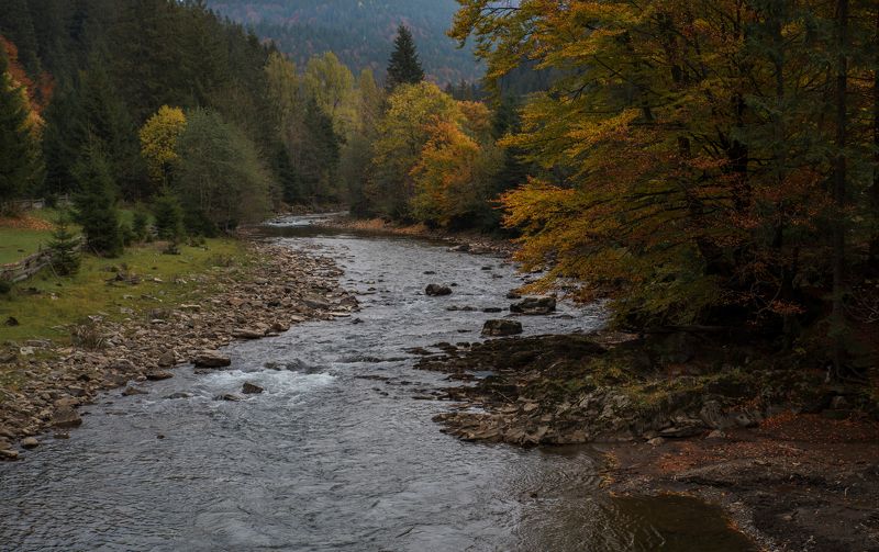 осенняя Теребля..photo preview
