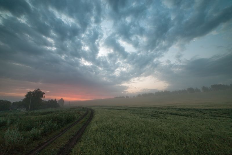 пейзаж, лето, июнь, степь, рассвет, туман Misty morning sunshine фото превью