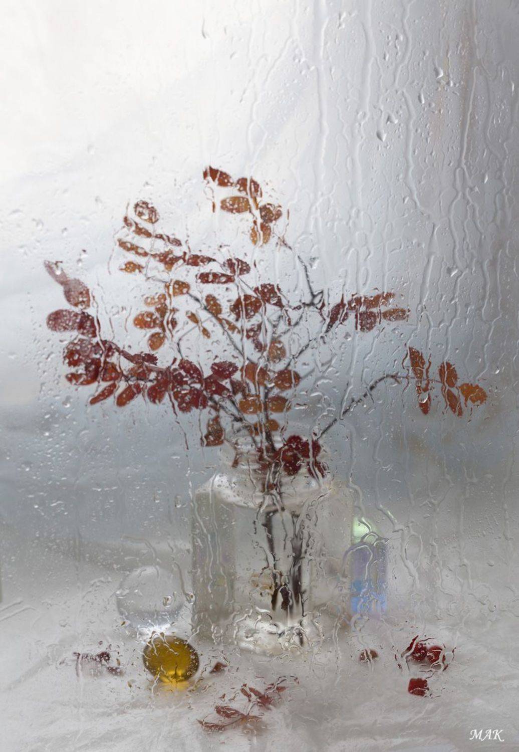 , Марина Кулакова