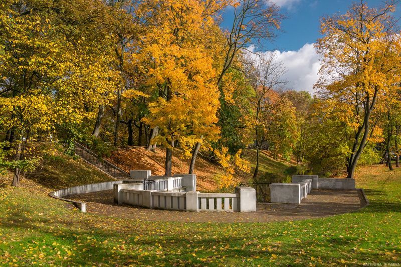 Осенних красок волшебствоphoto preview