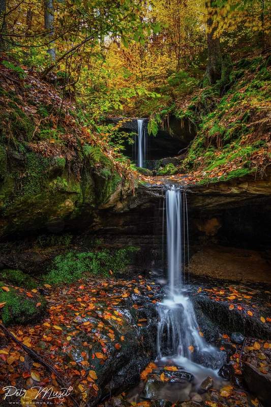 morning, sunrise, fog, fogs, tree, czech, park, rock Waterfallphoto preview