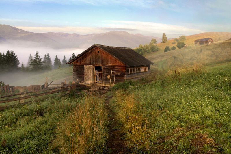 Летнее утро на полонинеphoto preview