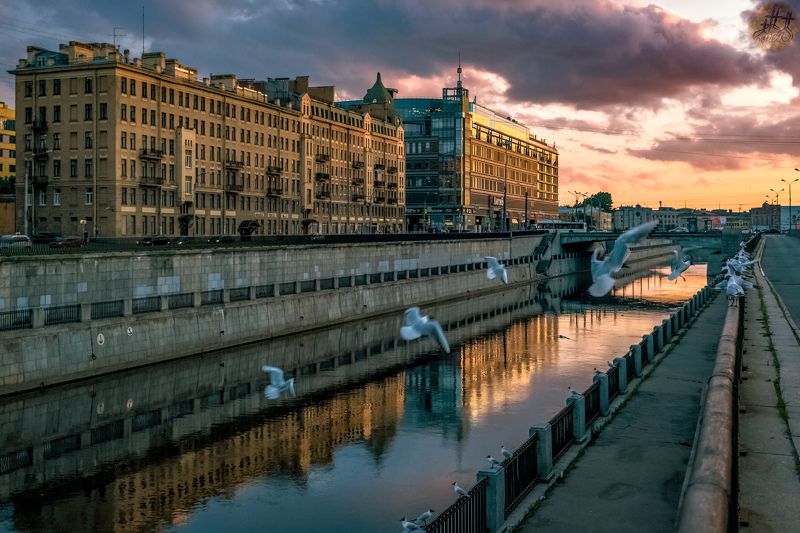 городской пейзаж Нерезкие птицыphoto preview