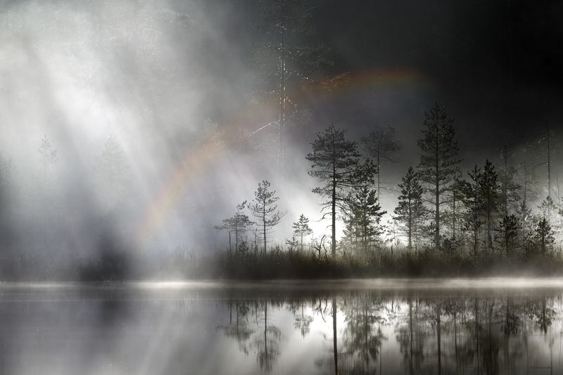 карелия Падал светphoto preview