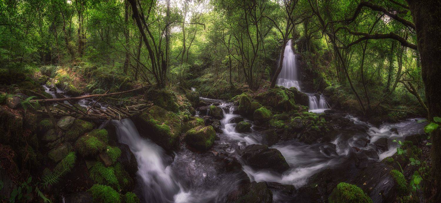 the Enchanted Forest. Автор: SORAYA SAMPEDRO forest, intothewood, waterfall, water, enchanted, green, tree, bridge, wood, SORAYA SAMPEDRO