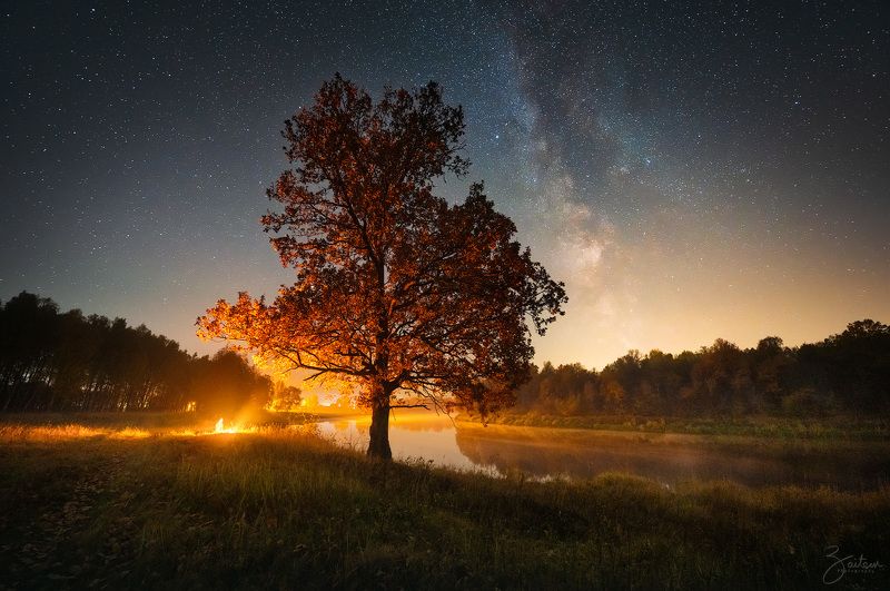ночь, река, звезды, млечный путь, костер, астрофотография, пейзаж, landscape, night, milky way, stars, nikon z 14-24, river, autumn, bonfire Под дубомphoto preview