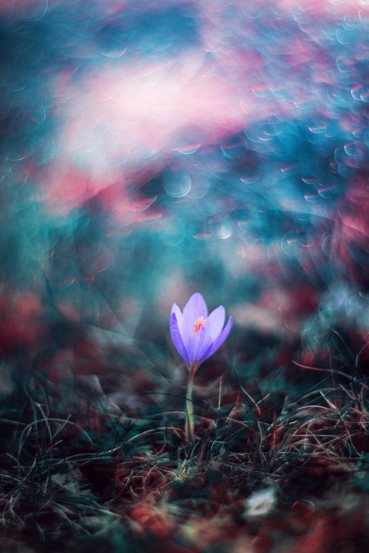 Blue фото превью