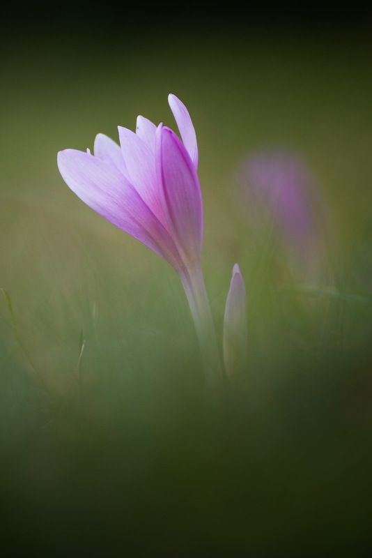 Slovakia paradise VIIphoto preview