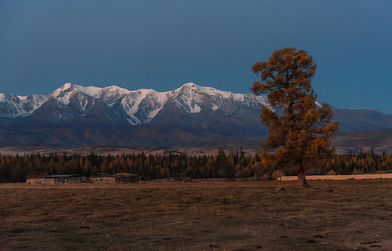 курай, алтай, горный алтай, утро, сумерки, рассвет, чуйский тракт Курай в ожидании рассветаphoto preview