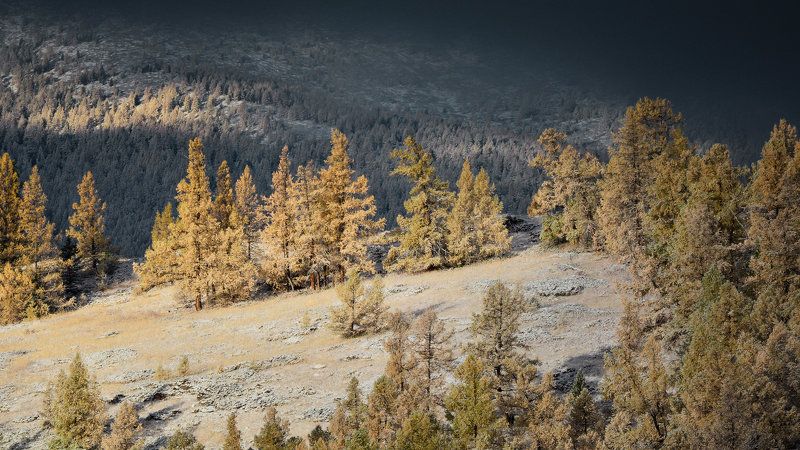 алтай,горы,снег припорошилоphoto preview