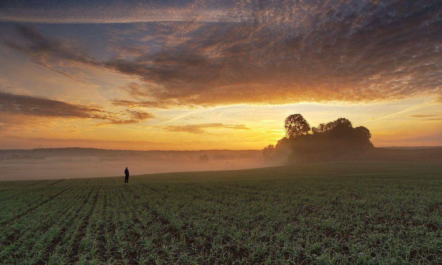 autumn, sky, field, morning, fresh, sunrise, poland, trees, mist, sunlight, Lukasz Zugaj