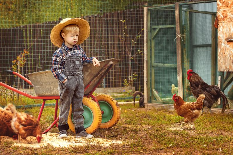 Хозяин фермыphoto preview