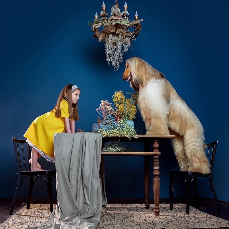 Я и моя теньphoto preview