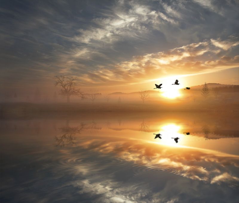 берег, рассвет, красивые, места, с, отражением, в, воде Родные берегаphoto preview